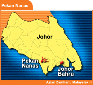 pekan nanas location 210409