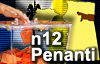 penanti state seat by election