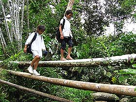 the antidote article sarawak native logging school children 280409 06