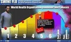 swine flu in mexico