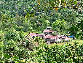 the antidote article sarawak natives life in interior sarawak 050509 01