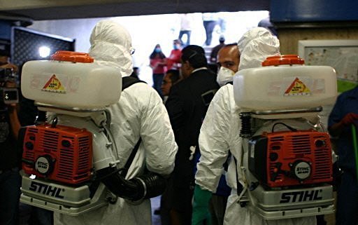 swine flu in mexico