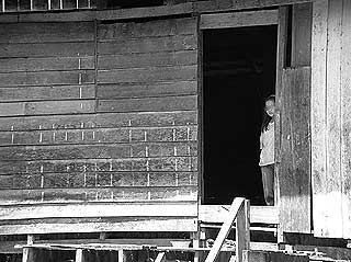 the antidote article sarawak natives stories 120509 03