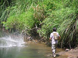 the antidote article sarawak natives stories 120509 01