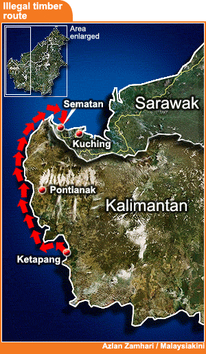 illegal timber route from ketapang indonesia to sematan sarawak 150509