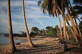 the antidote sarawak article 190509 02
