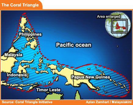 the coral triangle 140509