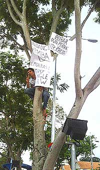 local pas leader in penang perak squating in a tree protest 150509 04