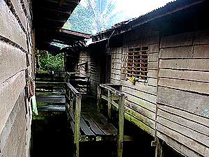 the antidote article sarawak native people 270509 05