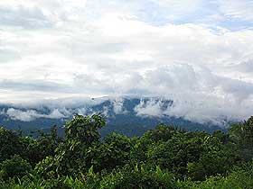 the antidote article long kerong sarawak timber logging samling 090609 03