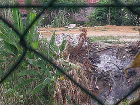 rahang family snake problem 090609 08