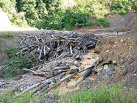 the antidote article long kerong sarawak timber logging samling 090609 05
