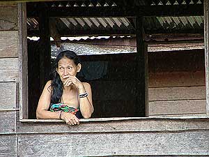 the antidote article long kerong sarawak timber logging samling 090609 02