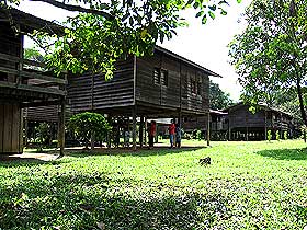 the antidote article long kerong sarawak timber logging samling 090609 08