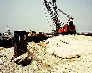 coral reef mining of tawau sabah 130609 14