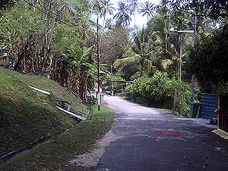 kampung buah pala penang 250609 03
