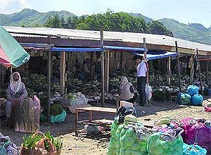 visitors shy away from ranau kundasang sabah 230609 04