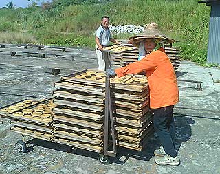 liew chin nam yew kheong joss stick manufacturer ktm land perak 240609 03