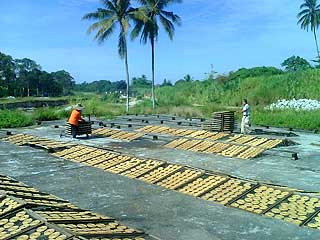 liew chin nam yew kheong joss stick manufacturer ktm land perak 240609 05