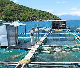 aquaculture fish farm 290609