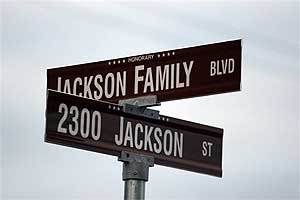 michael jackson death 260609 02