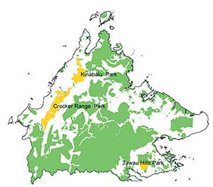 sabah orang utan 060709 07