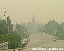 haze shah alam 03