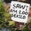 price hike on goods