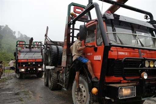 penan blockade in sarawak logging