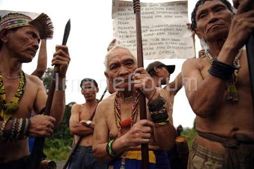 penan blockage in sarawak