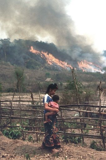 slash and burn Hmong in Laos