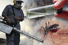 dengue fever fogging mosquito campaign 111005
