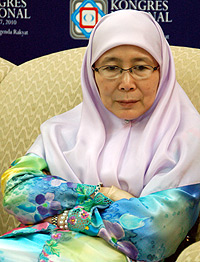 pkr congress pc 271110 wan azizah