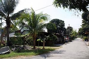penang tanjong tokong folks against uda 220111 village view