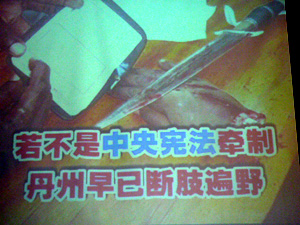 bn poster islamic hudud law in chinese