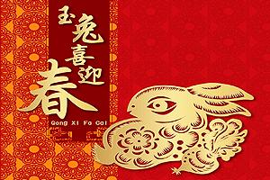 2011 chinese new year front