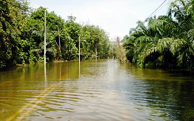 johor flood 060211