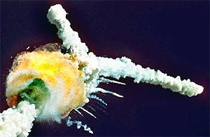 us challenger disaster 200411