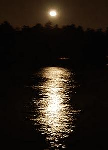 moonlight