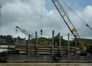 sarawak logging river