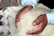 rice paddy padi beras sacks