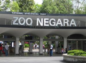 zoo negara, generic