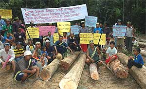 orang asli anti logging protest in pahang 170406 group