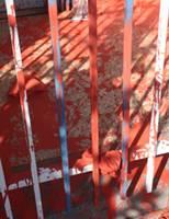 penang dap headquaters splash by red paint 140811 1