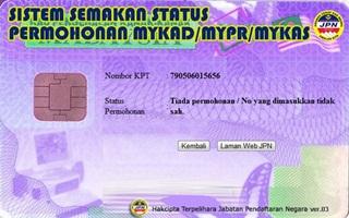 bakri electoral flaw  090511 no application purple ic lee bee cheng