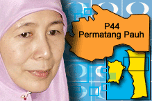 wan azizah permatang pauh 281004