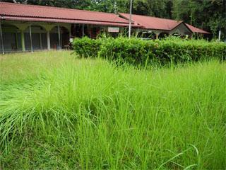 malacca 03 traders police report