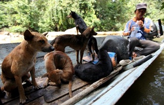 bakun dam kayan indigenous people 5 story