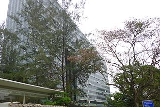 jingga 13 on singapore trip 291211 10