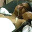 fayyadh bodyguard 080112